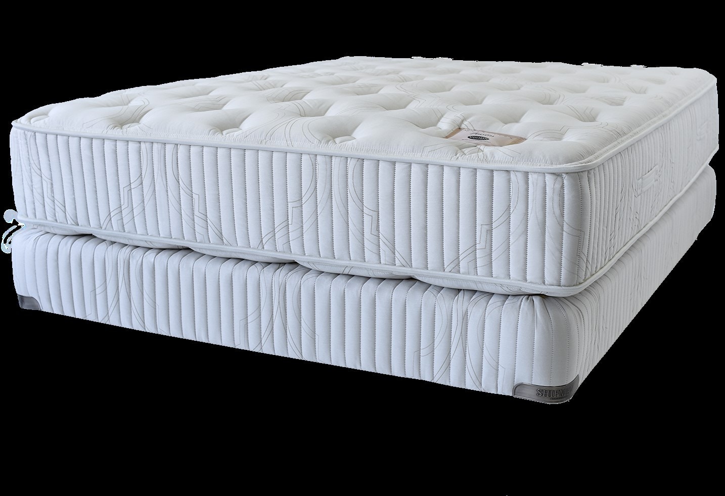 Plush shop mattress company